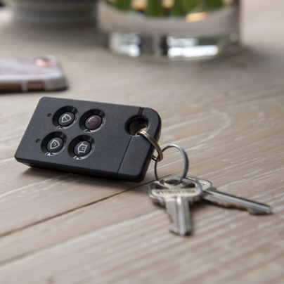 Lansing security key fob