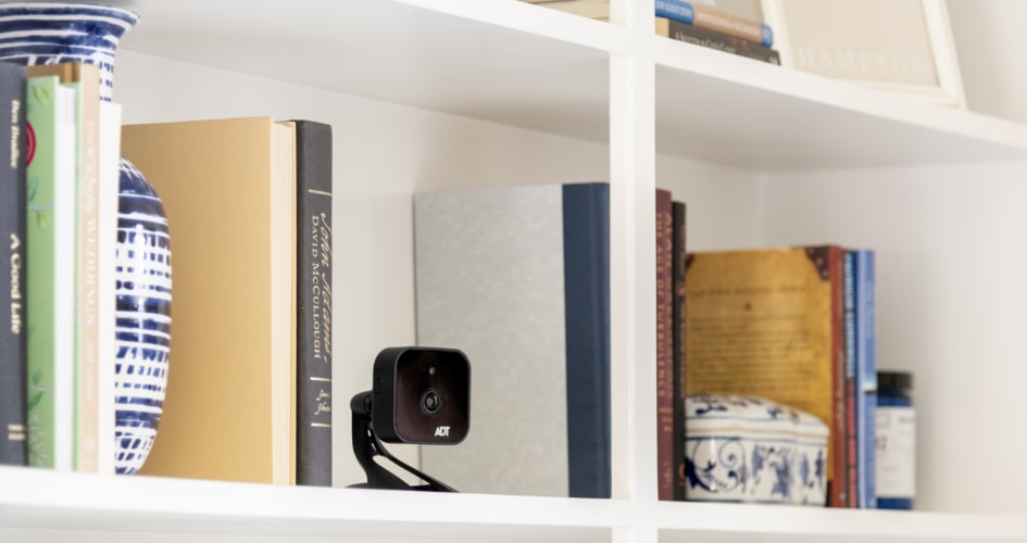 adt Indoor security cameras in Lansing
