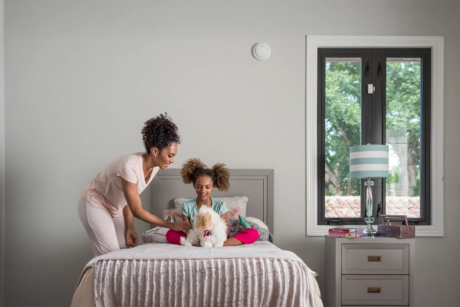 smoke & carbon detector Lansing